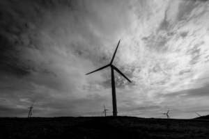 Wind Renewable Energy